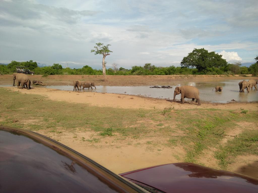 Brookline Safari Resort Удавалаве Екстериор снимка