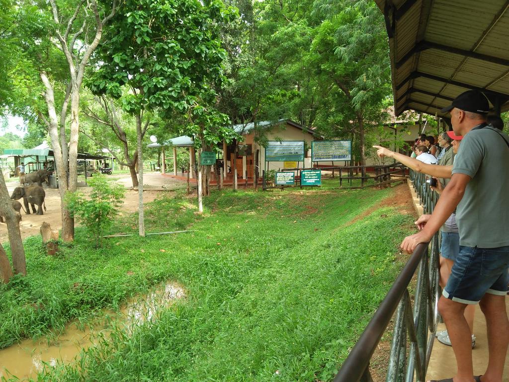 Brookline Safari Resort Удавалаве Екстериор снимка