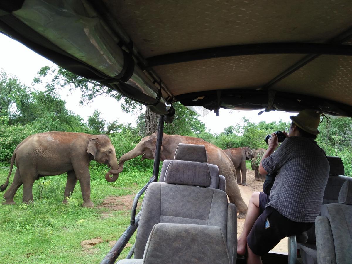 Brookline Safari Resort Удавалаве Екстериор снимка