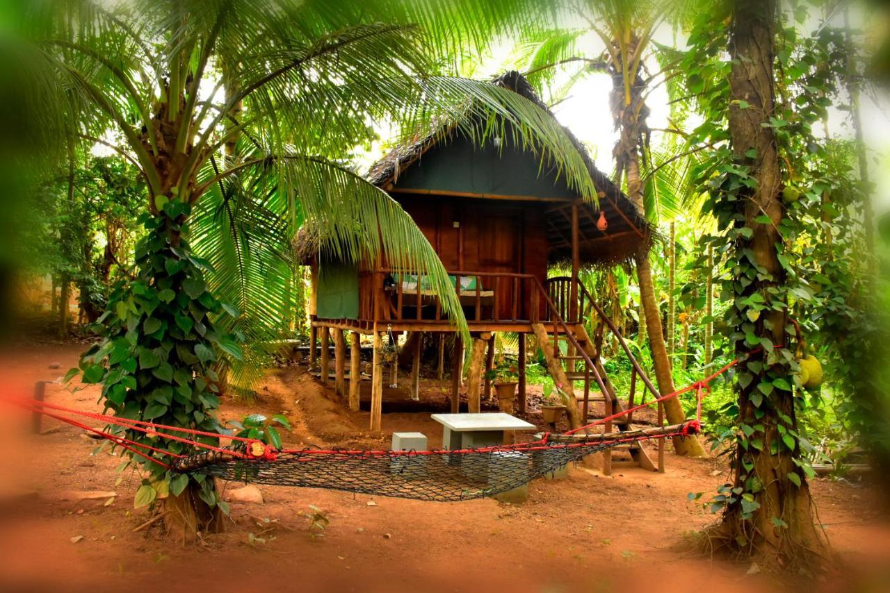 Brookline Safari Resort Удавалаве Екстериор снимка